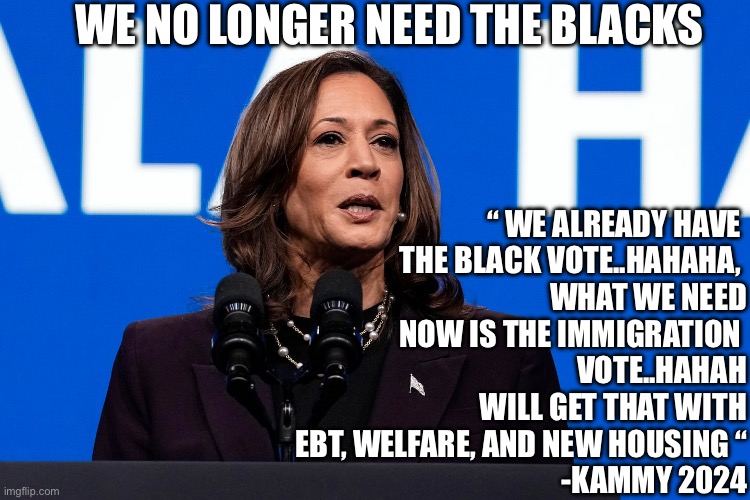 Kammy.calls it | WE NO LONGER NEED THE BLACKS; “ WE ALREADY HAVE 
THE BLACK VOTE..HAHAHA, 
WHAT WE NEED
NOW IS THE IMMIGRATION 
VOTE..HAHAH
WILL GET THAT WITH
EBT, WELFARE, AND NEW HOUSING “
-KAMMY 2024 | image tagged in kammy,funny memes,meme,funny | made w/ Imgflip meme maker