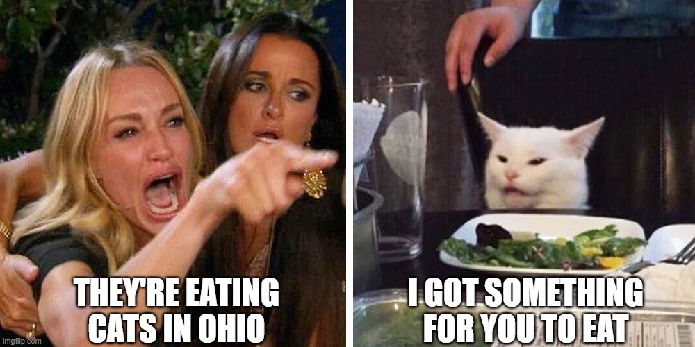 eat cats | THEY'RE EATING CATS IN OHIO; I GOT SOMETHING FOR YOU TO EAT | image tagged in smudge the cat | made w/ Imgflip meme maker