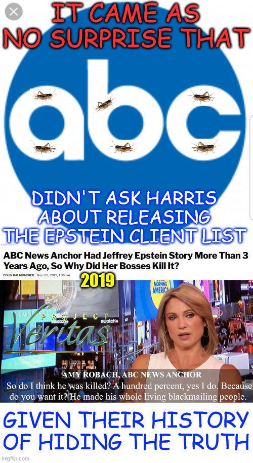 Gotta protect those pedo Dem donors... | IT CAME AS NO SURPRISE THAT; DIDN'T ASK HARRIS ABOUT RELEASING THE EPSTEIN CLIENT LIST; 2019; GIVEN THEIR HISTORY OF HIDING THE TRUTH | image tagged in fake news,abc,hides the truth,pedo dem donors | made w/ Imgflip meme maker