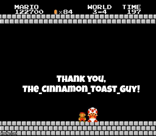 Thank You Mario | Thank you, The_Cinnamon_Toast_Guy! | image tagged in thank you mario | made w/ Imgflip meme maker