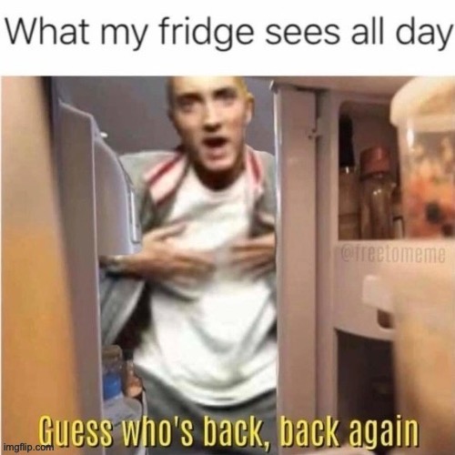 Haha! | image tagged in funny,eminem,true,animals,humans are animals too,memes | made w/ Imgflip meme maker