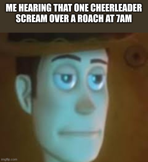 it's not that serious bro, besides..its early for this bulls*** | ME HEARING THAT ONE CHEERLEADER SCREAM OVER A ROACH AT 7AM | image tagged in disappointed woody | made w/ Imgflip meme maker