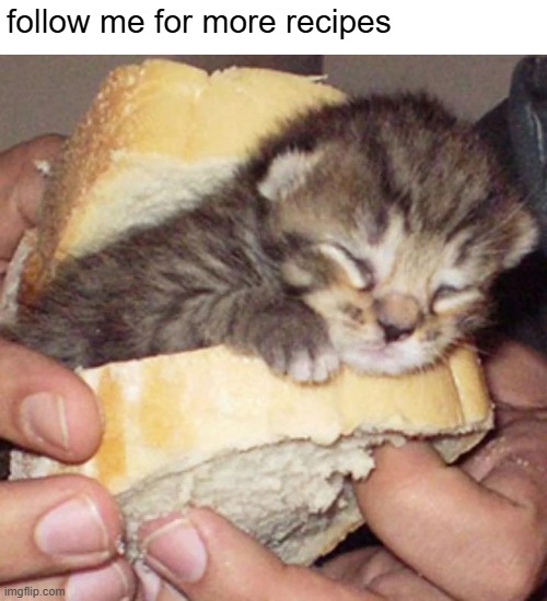 Cat sammich | follow me for more recipes | image tagged in funny,funny memes,politics,politics lol,political,trump | made w/ Imgflip meme maker