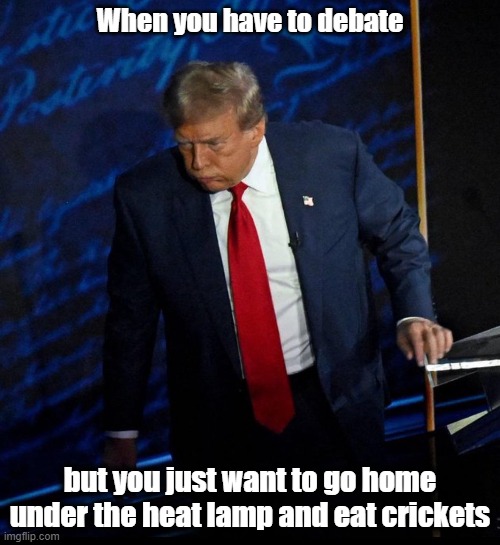 When you have to debate; but you just want to go home under the heat lamp and eat crickets | made w/ Imgflip meme maker