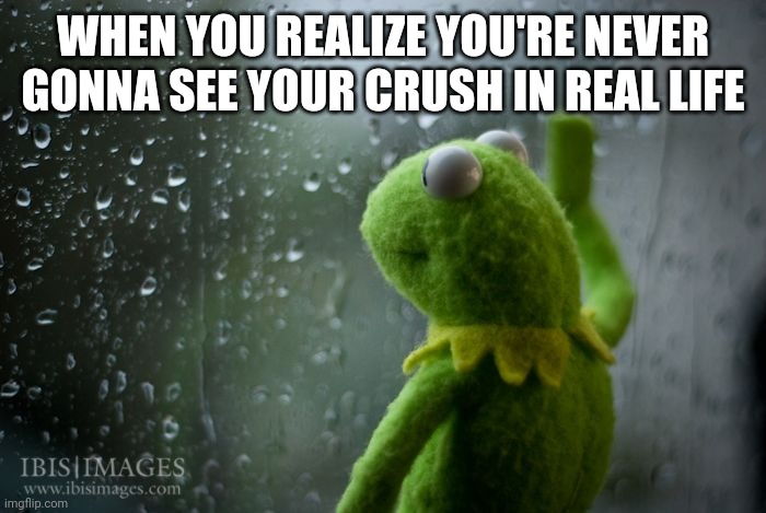 kermit window | WHEN YOU REALIZE YOU'RE NEVER GONNA SEE YOUR CRUSH IN REAL LIFE | image tagged in kermit window | made w/ Imgflip meme maker