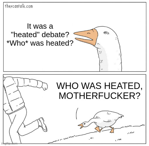 Goose chasing guy HD | It was a "heated" debate? *Who* was heated? WHO WAS HEATED, MOTHERFUCKER? | image tagged in goose chasing guy hd | made w/ Imgflip meme maker