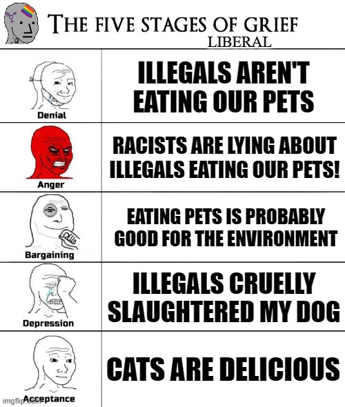 5 stages of grief | LIBERAL; ILLEGALS AREN'T EATING OUR PETS; RACISTS ARE LYING ABOUT ILLEGALS EATING OUR PETS! EATING PETS IS PROBABLY GOOD FOR THE ENVIRONMENT; ILLEGALS CRUELLY SLAUGHTERED MY DOG; CATS ARE DELICIOUS | image tagged in 5 stages of grief,liberals,illegals,pets,culture | made w/ Imgflip meme maker