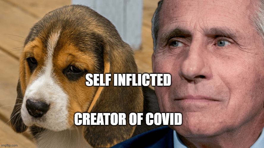 Fauci's Ouchie | SELF INFLICTED; CREATOR OF COVID | image tagged in fauci's ouchie | made w/ Imgflip meme maker