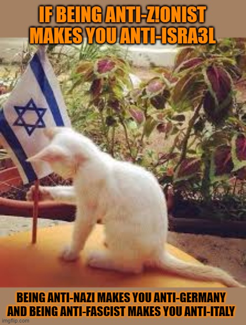 This #lolcat wonders if people who are against the US government are anti-America | IF BEING ANTI-Z!ONIST
MAKES YOU ANTI-ISRA3L; BEING ANTI-NAZI MAKES YOU ANTI-GERMANY
AND BEING ANTI-FASCIST MAKES YOU ANTI-ITALY | image tagged in zionism,antisemitism,lolcat,no logic,israel | made w/ Imgflip meme maker