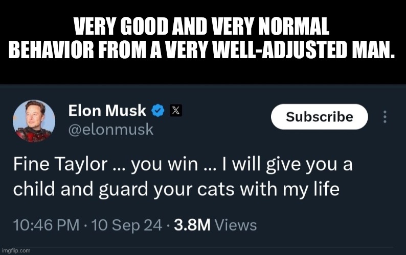 All from a man in a happy fulfilling marriage with a thriving social media company. | VERY GOOD AND VERY NORMAL BEHAVIOR FROM A VERY WELL-ADJUSTED MAN. | image tagged in elon musk,weird,creepy,misogyny,sexual harassment,divorced | made w/ Imgflip meme maker