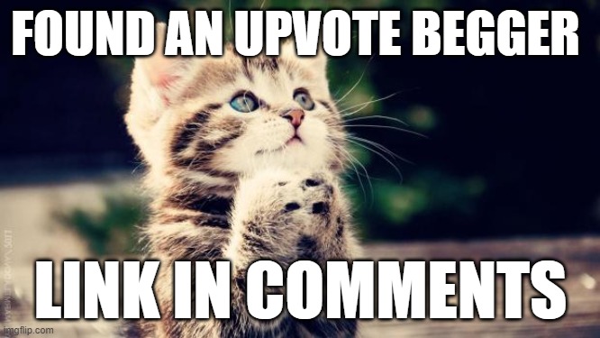 Praying cat | FOUND AN UPVOTE BEGGER; LINK IN COMMENTS | image tagged in praying cat | made w/ Imgflip meme maker