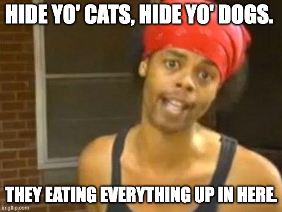 antoine dodson | HIDE YO' CATS, HIDE YO' DOGS. THEY EATING EVERYTHING UP IN HERE. | image tagged in antoine dodson | made w/ Imgflip meme maker