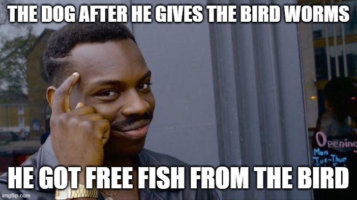 Roll Safe Think About It Meme | THE DOG AFTER HE GIVES THE BIRD WORMS; HE GOT FREE FISH FROM THE BIRD | image tagged in memes,roll safe think about it | made w/ Imgflip meme maker