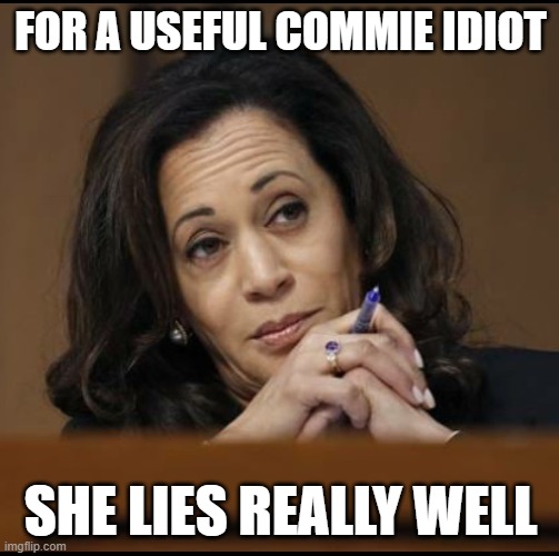 Kamala Harris  | FOR A USEFUL COMMIE IDIOT; SHE LIES REALLY WELL | image tagged in kamala harris | made w/ Imgflip meme maker