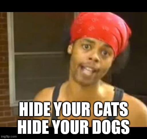 hide your wife | HIDE YOUR CATS
HIDE YOUR DOGS | image tagged in hide your wife | made w/ Imgflip meme maker