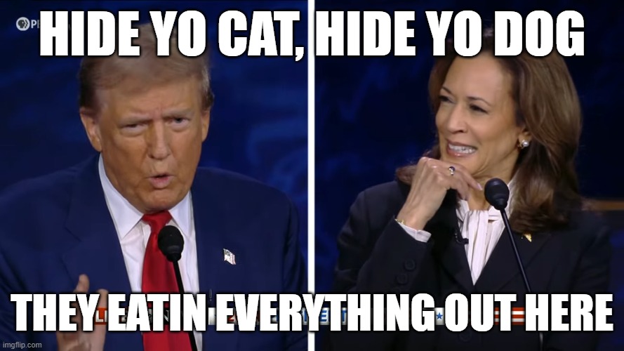 Hide yo cat, hide yo dog | HIDE YO CAT, HIDE YO DOG; THEY EATIN EVERYTHING OUT HERE | image tagged in trump harris debate | made w/ Imgflip meme maker