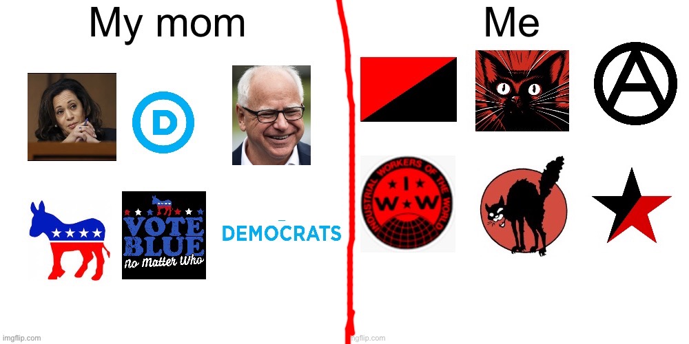 Cringe liberal Democrat mom vs based Anarcho syndicalist daughter | image tagged in liberal,democrat,anarchist,syndicalist | made w/ Imgflip meme maker