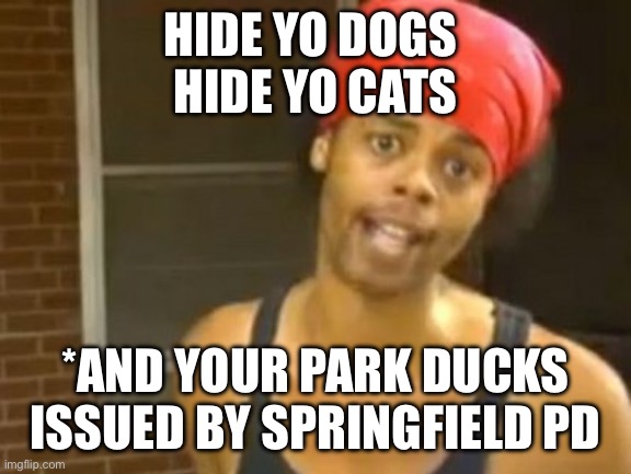 Hide Yo Kids Hide Yo Wife Meme | HIDE YO DOGS 
HIDE YO CATS; *AND YOUR PARK DUCKS
ISSUED BY SPRINGFIELD PD | image tagged in memes,hide yo kids hide yo wife | made w/ Imgflip meme maker