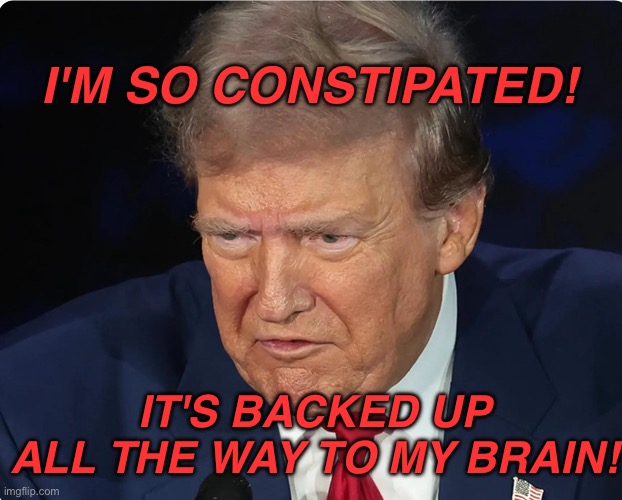 Constipated donald trump | I'M SO CONSTIPATED! IT'S BACKED UP ALL THE WAY TO MY BRAIN! | image tagged in constipated donald trump | made w/ Imgflip meme maker