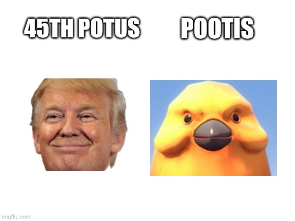 POOTIS; 45TH POTUS | made w/ Imgflip meme maker