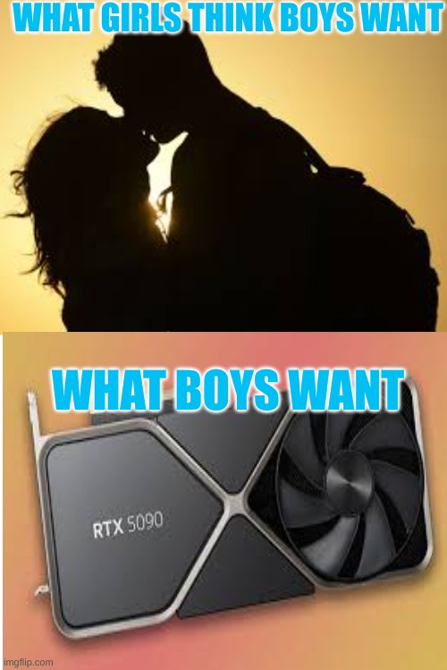 what girls think boys want | WHAT GIRLS THINK BOYS WANT; WHAT BOYS WANT | image tagged in girls vs boys | made w/ Imgflip meme maker