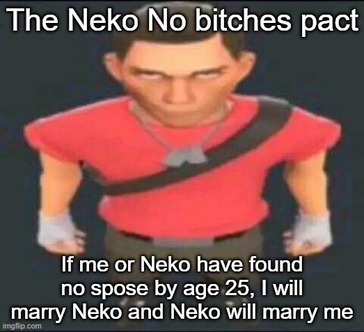 bro | The Neko No bitches pact; If me or Neko have found no spose by age 25, I will marry Neko and Neko will marry me | image tagged in bro | made w/ Imgflip meme maker