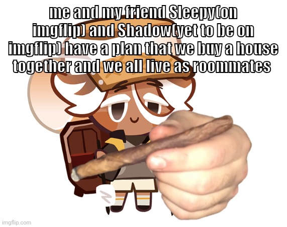 smore cookie with a blunt | me and my friend Sleepy(on imgflip) and Shadow(yet to be on imgflip) have a plan that we buy a house together and we all live as roommates | image tagged in smore cookie with a blunt | made w/ Imgflip meme maker