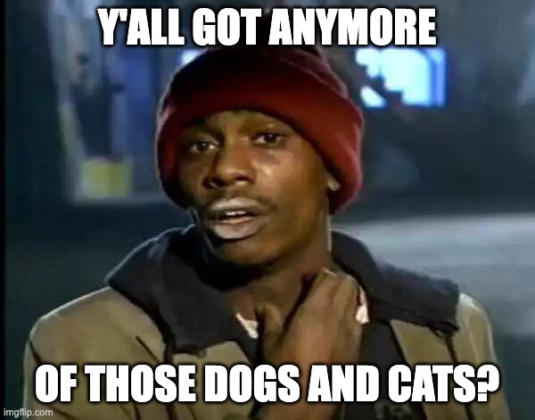 Dogs and cats and pets | Y'ALL GOT ANYMORE; OF THOSE DOGS AND CATS? | image tagged in memes,y'all got any more of that | made w/ Imgflip meme maker