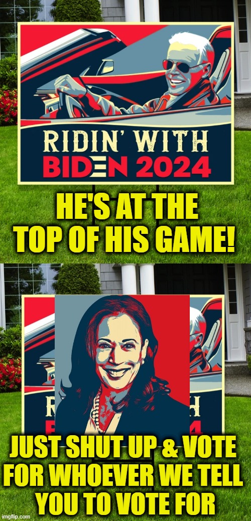 They're interchangeable anyway | HE'S AT THE TOP OF HIS GAME! JUST SHUT UP & VOTE
FOR WHOEVER WE TELL
 YOU TO VOTE FOR | image tagged in kamala harris | made w/ Imgflip meme maker