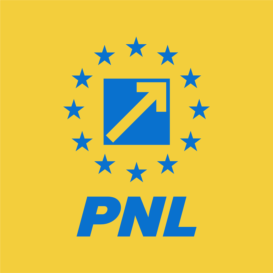 PNL - Partidul Național Liberal Blank Meme Template