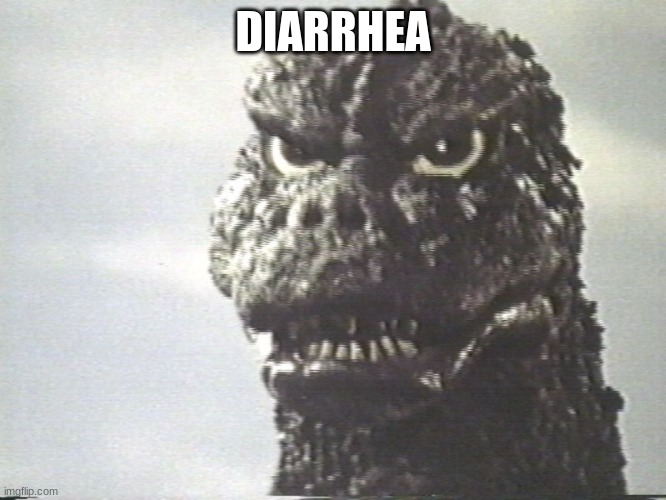 Godzilla This Is Why I Destroy Cities | DIARRHEA | image tagged in godzilla this is why i destroy cities | made w/ Imgflip meme maker