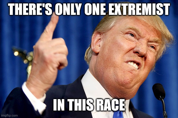 Donald Trump | THERE'S ONLY ONE EXTREMIST IN THIS RACE | image tagged in donald trump | made w/ Imgflip meme maker