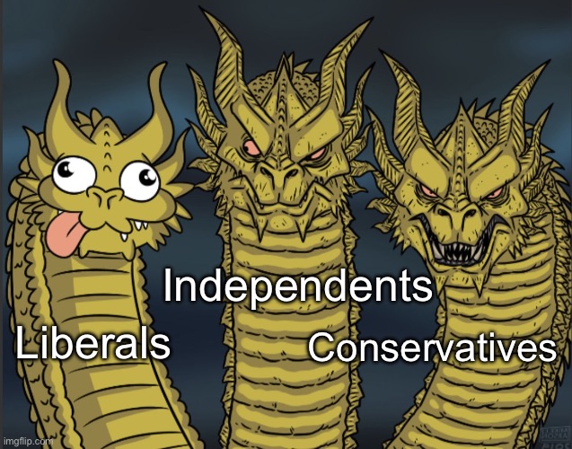 They’re nuts, and confirmed by science to be psychotic | Independents; Liberals; Conservatives | image tagged in three-headed dragon reversed,looney lefties,stupid liberals | made w/ Imgflip meme maker