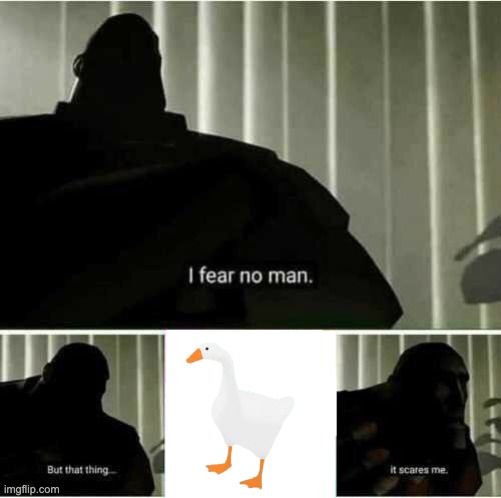 Untitled goose fear | image tagged in i fear no man,goose | made w/ Imgflip meme maker