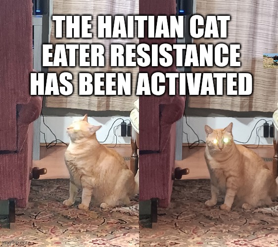 Haitian pet eater | THE HAITIAN CAT EATER RESISTANCE HAS BEEN ACTIVATED | made w/ Imgflip meme maker