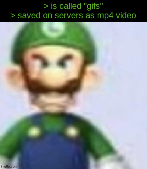 angry luigi | > is called "gifs"
> saved on servers as mp4 video | image tagged in angry luigi | made w/ Imgflip meme maker