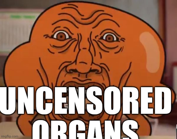 gumball darwin upset | UNCENSORED ORGANS | image tagged in gumball darwin upset | made w/ Imgflip meme maker