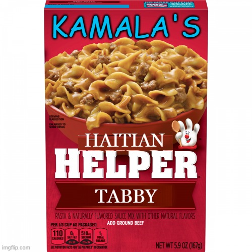 Kamala's Haitian Helper | KAMALA'S; HAITIAN; TABBY | image tagged in kamala harris | made w/ Imgflip meme maker