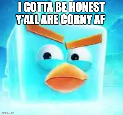 Ice bird | I GOTTA BE HONEST Y'ALL ARE CORNY AF | image tagged in ice bird | made w/ Imgflip meme maker