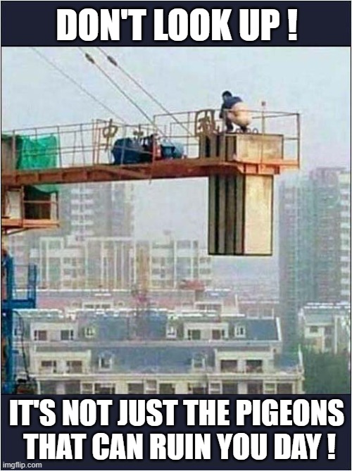 When You Gotta Go ... You've Gotta Go ! | DON'T LOOK UP ! IT'S NOT JUST THE PIGEONS
 THAT CAN RUIN YOU DAY ! | image tagged in crane,crapping,height,dark humour | made w/ Imgflip meme maker