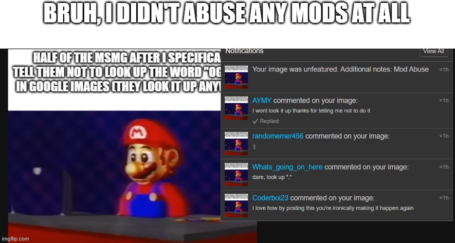 BRUH, I DIDN'T ABUSE ANY MODS AT ALL | made w/ Imgflip meme maker