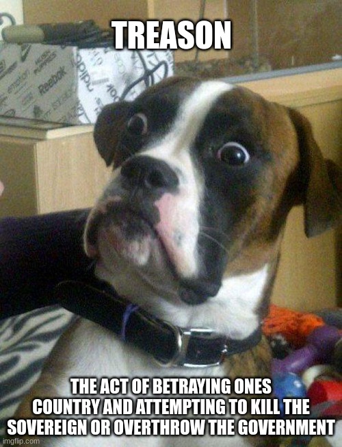 Blankie the Shocked Dog | TREASON; THE ACT OF BETRAYING ONES COUNTRY AND ATTEMPTING TO KILL THE SOVEREIGN OR OVERTHROW THE GOVERNMENT | image tagged in blankie the shocked dog | made w/ Imgflip meme maker
