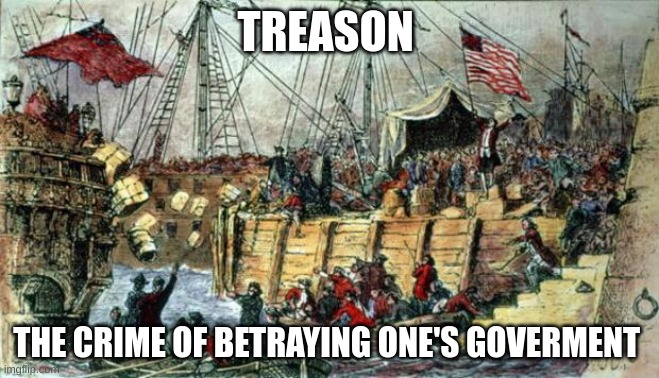 Boston Tea Party | TREASON; THE CRIME OF BETRAYING ONE'S GOVERMENT | image tagged in boston tea party | made w/ Imgflip meme maker