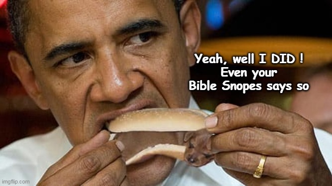 Yeah, well I DID !
Even your Bible Snopes says so | made w/ Imgflip meme maker