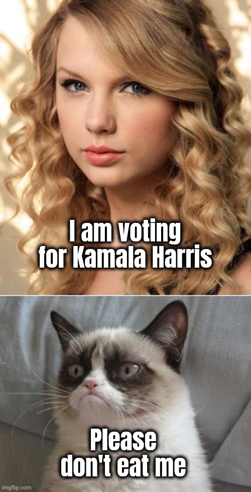 The Pet population is afraid | I am voting for Kamala Harris; Please don't eat me | image tagged in taylor swift,democrat,see nobody cares,celebtards,out of touch,expectation vs reality | made w/ Imgflip meme maker