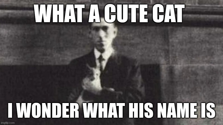 Silly cat name | WHAT A CUTE CAT; I WONDER WHAT HIS NAME IS | image tagged in silly cat | made w/ Imgflip meme maker