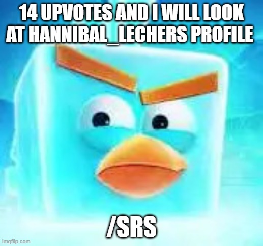 Ice bird | 14 UPVOTES AND I WILL LOOK AT HANNIBAL_LECHERS PROFILE; /SRS | image tagged in ice bird | made w/ Imgflip meme maker