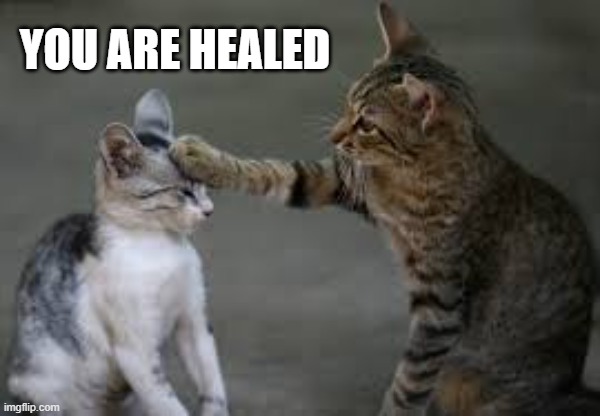 meme by Brad - This cat is a spiritual healer - humor | YOU ARE HEALED | image tagged in funny,cats,kitten,funny cat memes,spiritual,humor | made w/ Imgflip meme maker