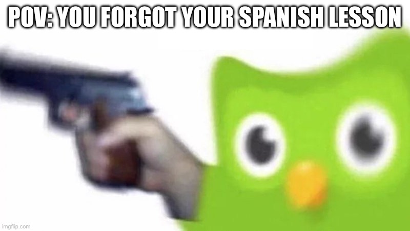 spanish | POV: YOU FORGOT YOUR SPANISH LESSON | image tagged in duolingo gun,violence | made w/ Imgflip meme maker