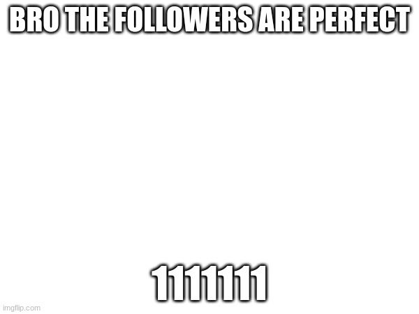 BRO THE FOLLOWERS ARE PERFECT; 1111111 | made w/ Imgflip meme maker